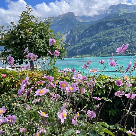 Chalet Romantica Carpe Diem Best View Best Location Brienz  Exteriör bild