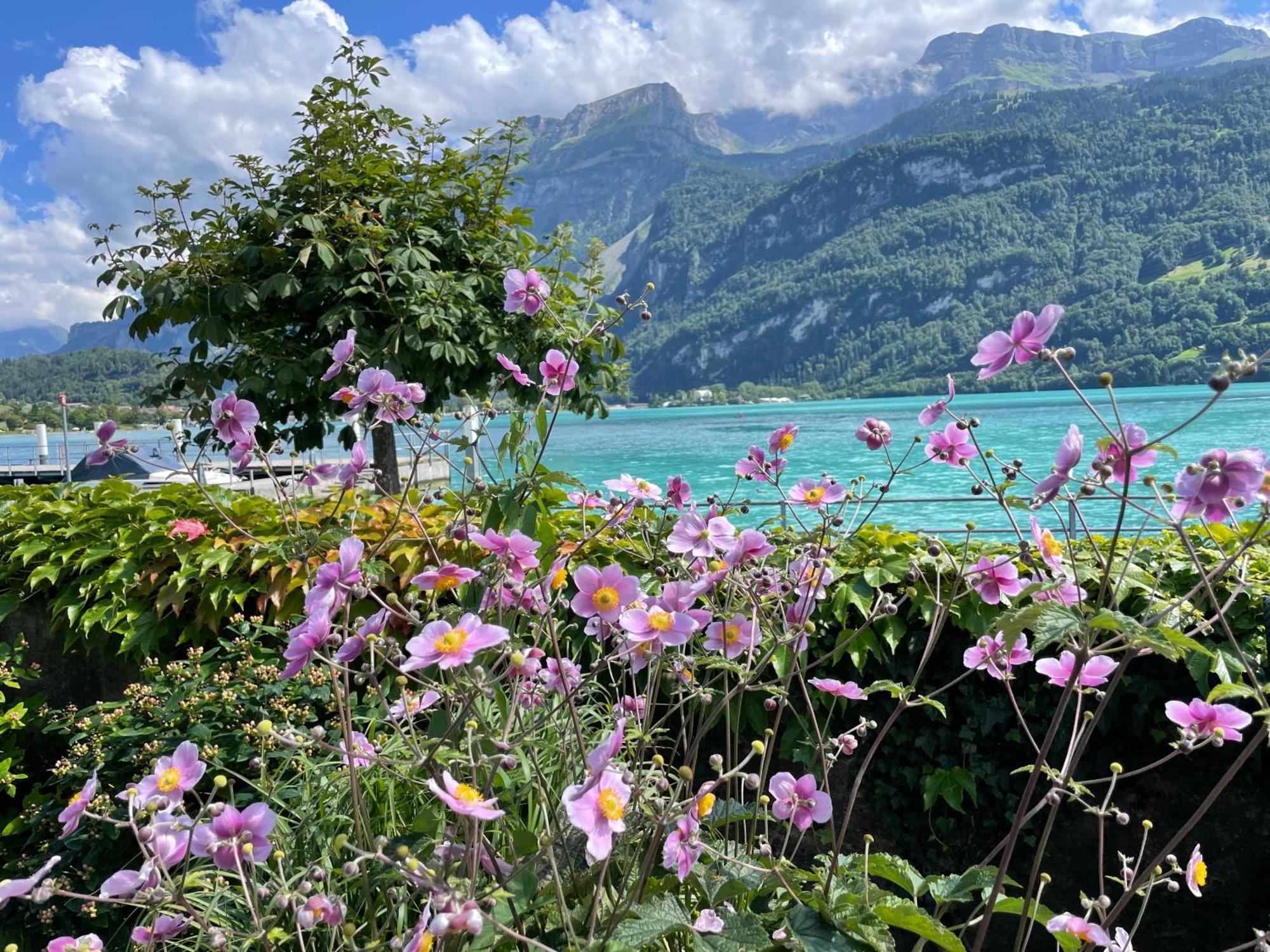 Chalet Romantica Carpe Diem Best View Best Location Brienz  Exteriör bild